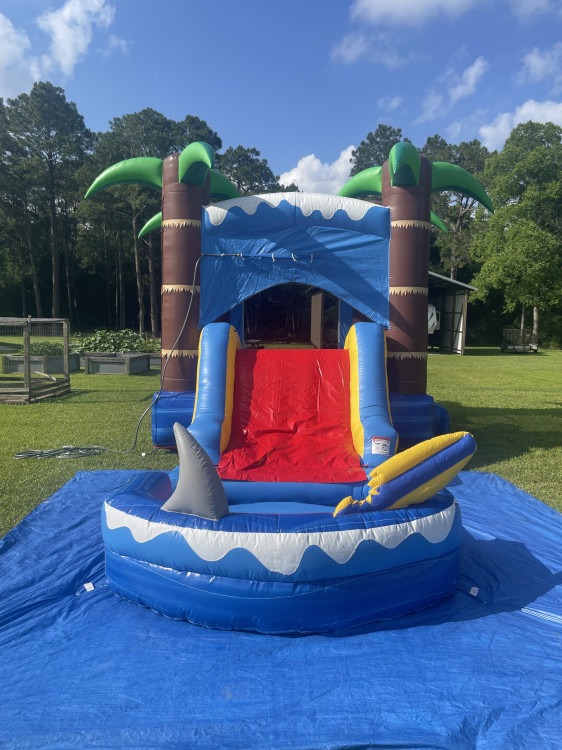 Ocean Shark Bounce House Combo (Wet/Dry)